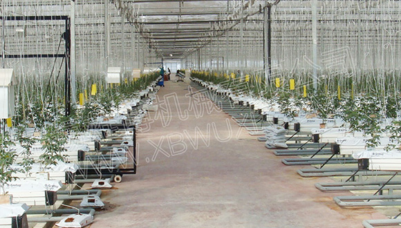 如何提高栽培槽的使用壽命？